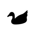 Swimming black waterfowl silhouette isolated on white background